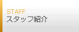 �X�^�b�t�Љ�